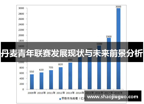 丹麦青年联赛发展现状与未来前景分析