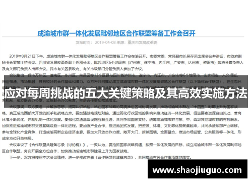 应对每周挑战的五大关键策略及其高效实施方法
