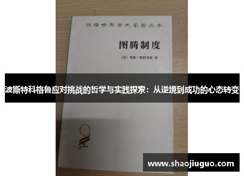 波斯特科格鲁应对挑战的哲学与实践探索：从逆境到成功的心态转变