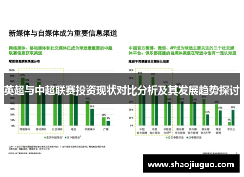 英超与中超联赛投资现状对比分析及其发展趋势探讨