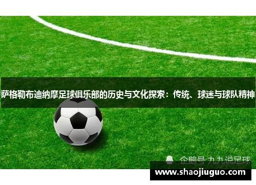 萨格勒布迪纳摩足球俱乐部的历史与文化探索:传统、球迷与球队精神